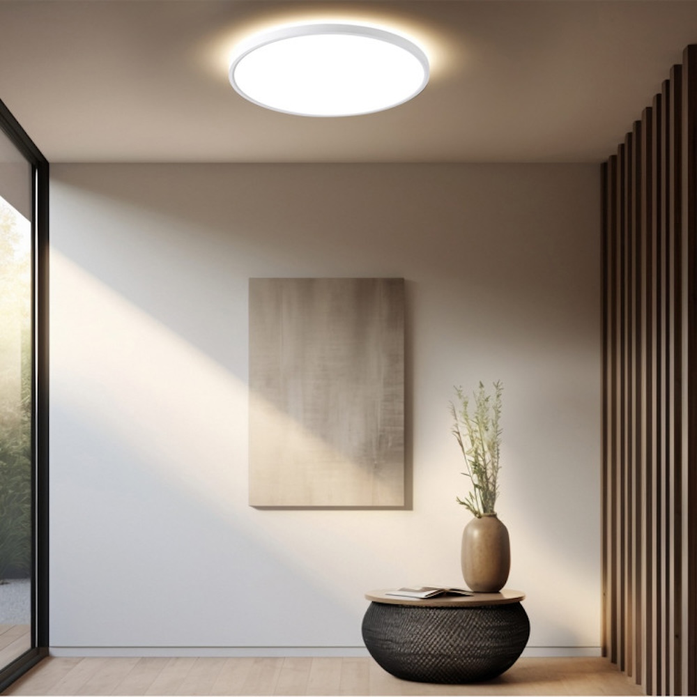 PRYZMA 2*LED 24/28/32W 3000K-6000K CCT diam 38.3cm • Light24 • LP-17071C-38 • Light24